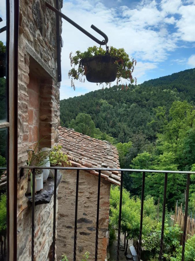 Locanda del Capo Capannori Exterior foto